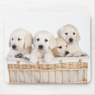 Yellow Labrador Retriever Puppies Mousepad