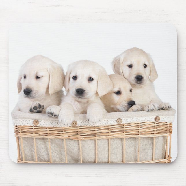 Yellow Labrador Retriever Puppies Mousepad (Front)