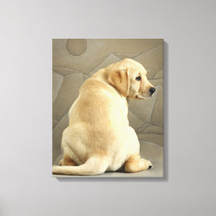 Yellow Labrador Retriever Puppy Canvas Print