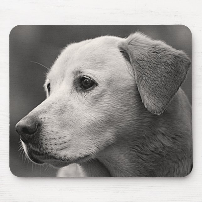 Yellow Labrador Retriever Puppy Dog Mousepad (Front)