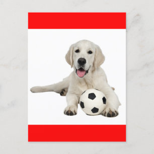 Yellow Labrador Retriever Puppy Dog Postcard
