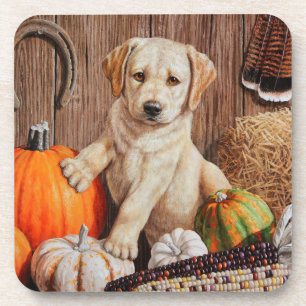 Yellow Labrador Retriever Puppy Dog Pumpkin Autumn Coaster