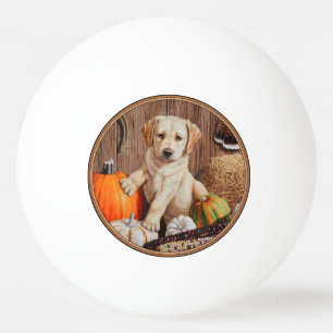 Yellow Labrador Retriever Puppy Dog Pumpkin Autumn Ping Pong Ball