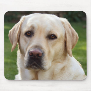 Yellow Labrador Retriever Puppy Dog - Yellow Lab Mouse Mat