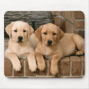 Yellow Labrador Retriever Puppy Dogs Mouse Mat