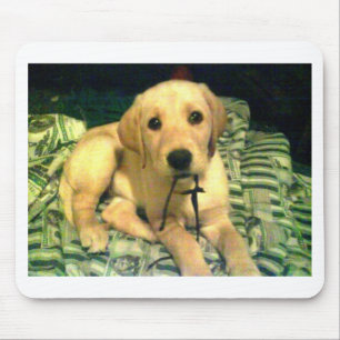 yellow labrador retriever puppy mouse mat