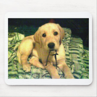 yellow labrador retriever puppy mouse mat