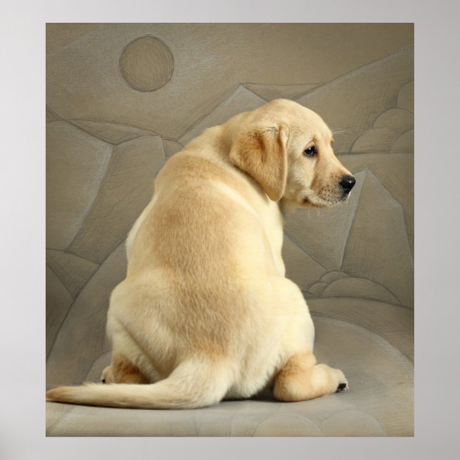 Yellow Labrador Retriever Puppy Poster (Front)