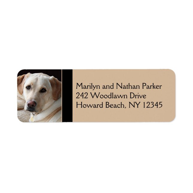 Yellow Labrador Retriever Return Address Label (Front)