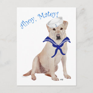 Yellow Labrador Retriever Sailor Postcard