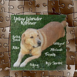 Yellow Labrador Retriever Traits Game Jigsaw Puzzle<br><div class="desc">Beautiful jigsaw puzzle has a yellow Labrador Retriever,  a popular dog in America! They love water,  retrieving,  running and playing! Some of their traits are outgoing,  active,  affectionate with family,  high-Spirited,  and more. The Labrador Retriever is a British breed.</div>