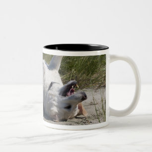 Yellow Labrador Retriever Two-Tone Coffee Mug