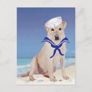 Yellow Labrador Sailor Postcard