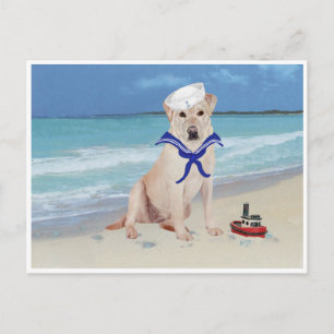 Yellow Labrador Sailor Postcard