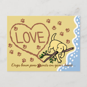 Yellow Labrador Sand Letters Cartoon Postcard