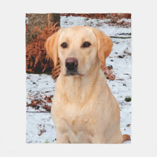 Yellow Labrador - Snow Dog - Yellow Lab Fleece Blanket