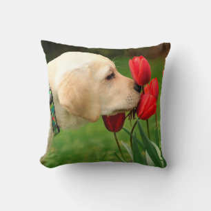 Yellow Labrador - Take Time Cushion
