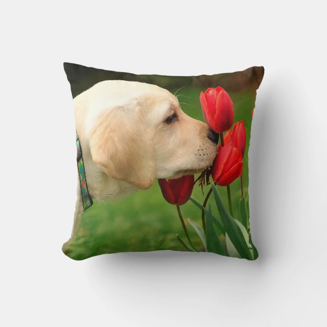 Yellow Labrador - Take Time Cushion (Front)