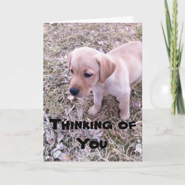 Yellow Labrador Thinking of You Card (Front)
