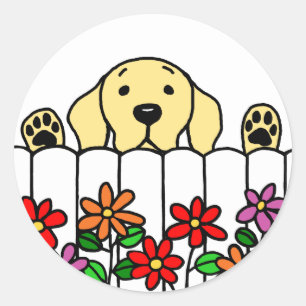 Yellow Labrador watching you Classic Round Sticker