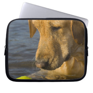 Yellow labrador with a tennis ball in the water laptop sleeve