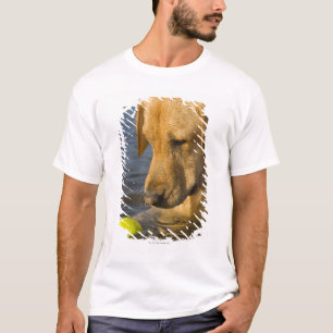 Yellow labrador with a tennis ball in the water T-Shirt