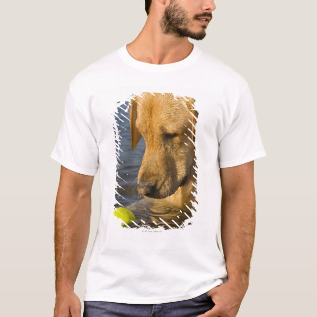 Yellow labrador with a tennis ball in the water T-Shirt (Front)