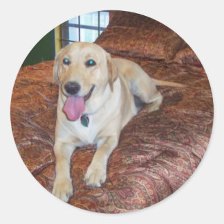 YELLOW LABS CLASSIC ROUND STICKER