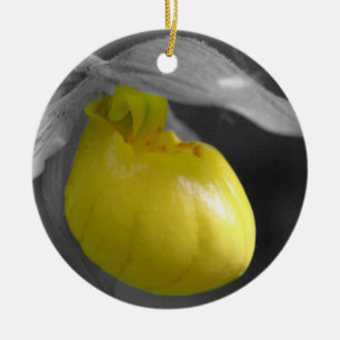 Yellow Lady Slipper BW Flower Ornament
