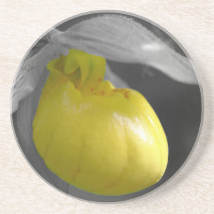 Yellow Lady Slipper Floral Coaster