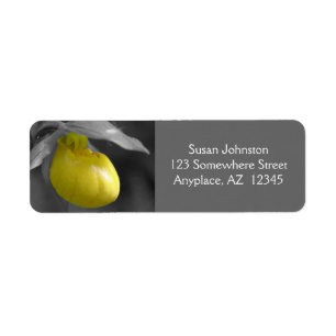Yellow Lady Slipper Orchid Flower Address