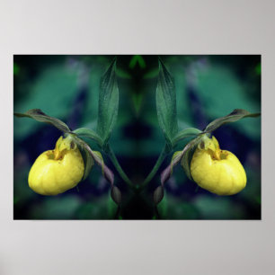 Yellow Lady Slipper Orchid Flower Nature Art Poster