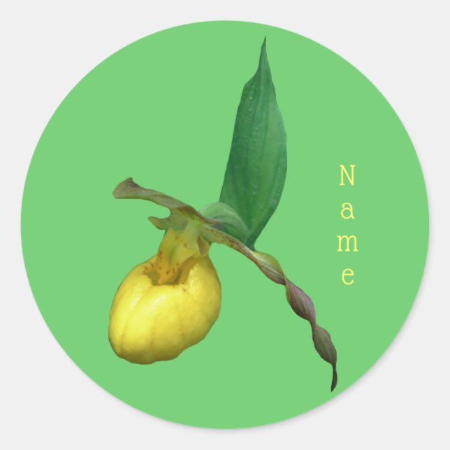 Yellow Lady Slipper Orchid Flower Personalised Classic Round Sticker (Front)