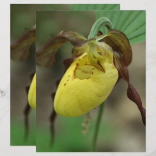 Yellow Lady Slipper Orchid Flower Scrapbook Paper 