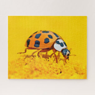 Yellow Ladybird, Jigsaw Puzzle