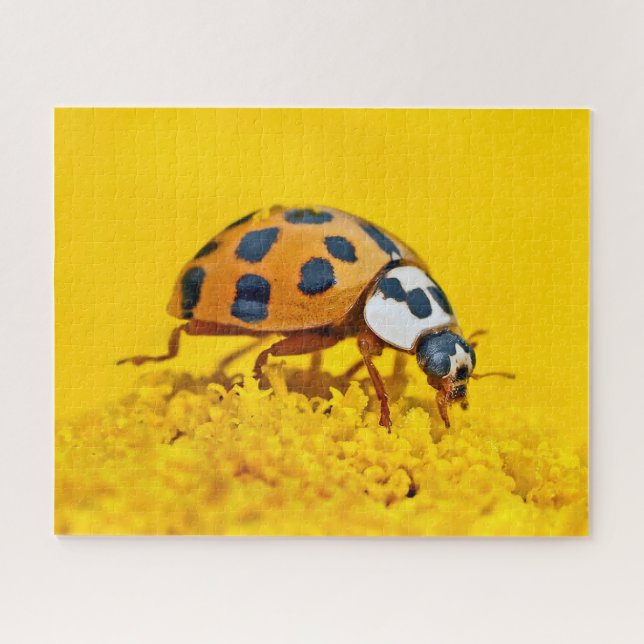 Yellow Ladybird, Jigsaw Puzzle (Horizontal)