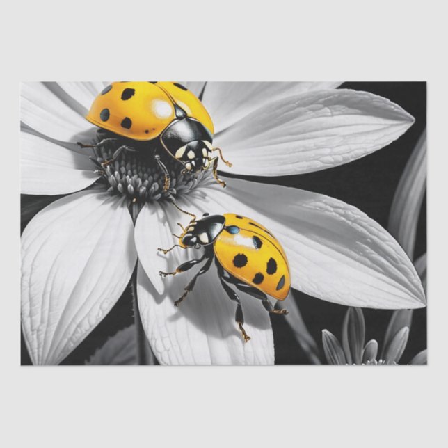 Yellow Ladybugs Beetle On Black White Flower Tissue Paper (Front)