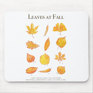 yellow leaves at fall collection mouse mat
