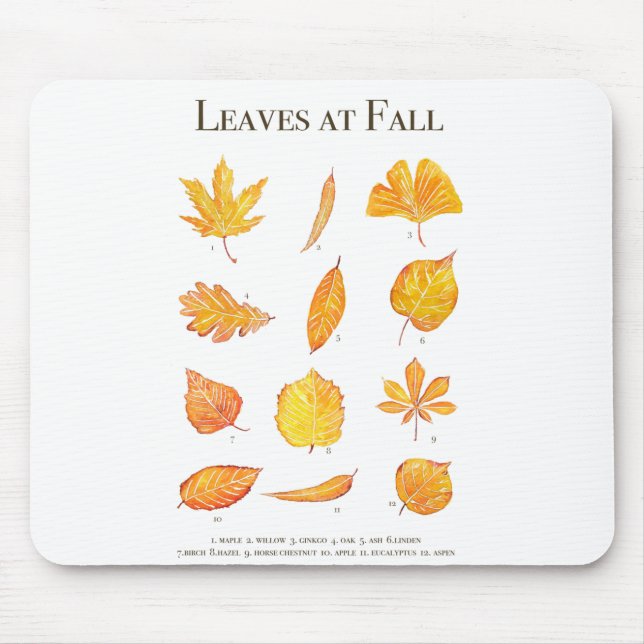 yellow leaves at fall collection mouse mat (Front)