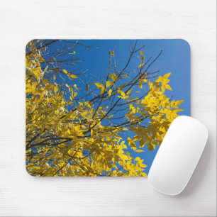 Yellow Leaves on Fall Ash Tree Nature Photography Mouse Mat