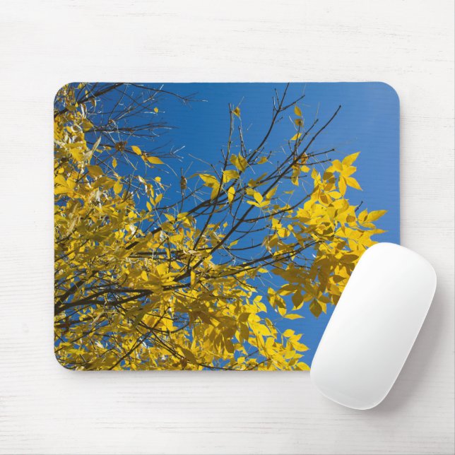 Yellow Leaves on Fall Ash Tree Nature Photography Mouse Mat (With Mouse)