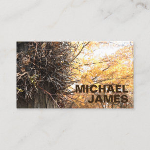 Yellow Leaves Tree Fall Foliage Autumn Nature Business Card