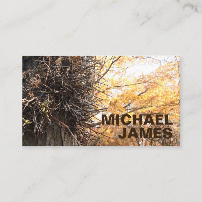 Yellow Leaves Tree Fall Foliage Autumn Nature Business Card (Front)