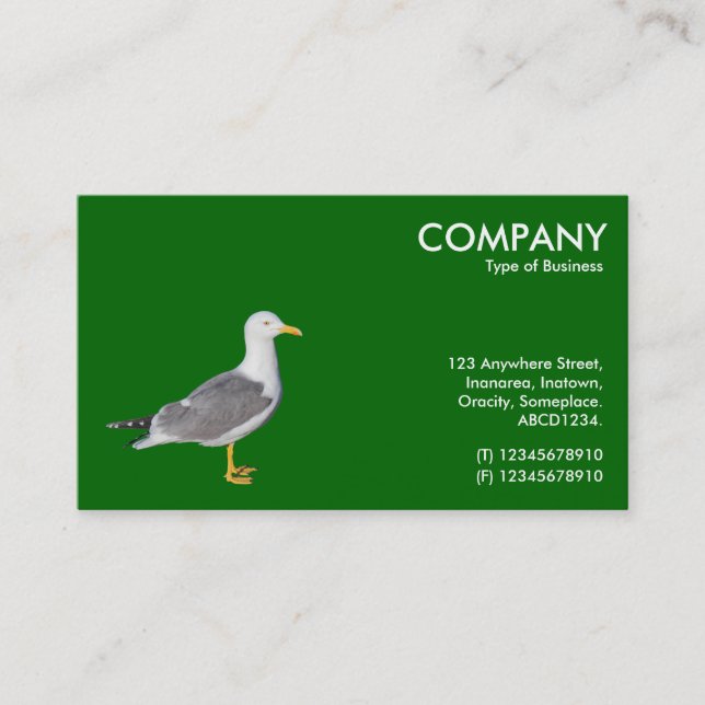Yellow Legged Gull - Green 006600 Business Card (Front)