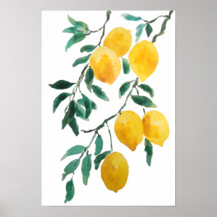 yellow lemon watercolor  poster