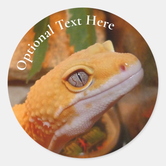 Yellow Leopard Gecko Classic Round Sticker (Front)