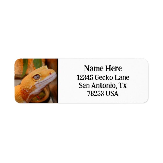 Yellow Leopard Gecko Return Address (Front)