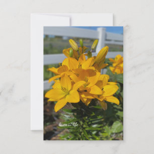Yellow Lilies Card