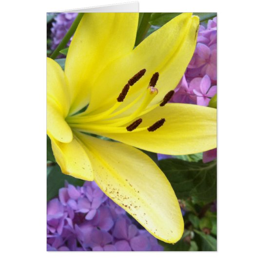 Yellow Lily and Lavender Hydrangea Greeting Card
