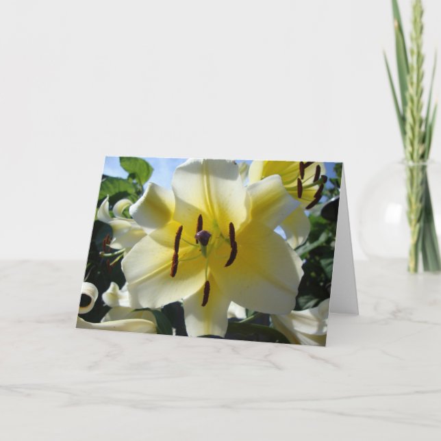 Yellow Lily Blank Greeting Card (Front)